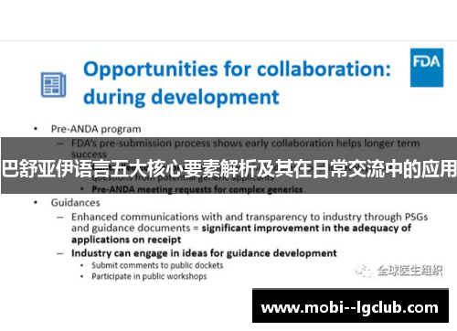 巴舒亚伊语言五大核心要素解析及其在日常交流中的应用