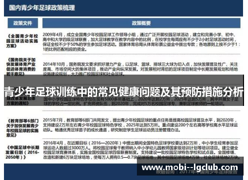 青少年足球训练中的常见健康问题及其预防措施分析