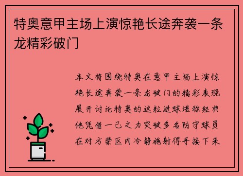 特奥意甲主场上演惊艳长途奔袭一条龙精彩破门 特奥意甲主场上演惊艳长途奔袭一条龙精彩破门