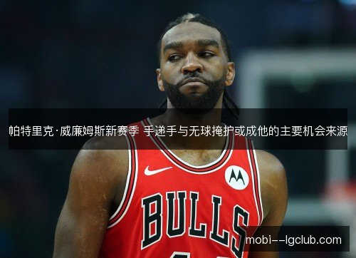 帕特里克·威廉姆斯新赛季 手递手与无球掩护或成他的主要机会来源
